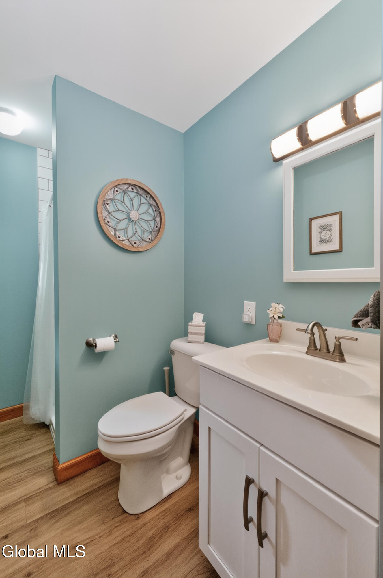 4 Homestead Road Glenville, NY 12302 - Photo 39 of 52 10 Bathroom 3