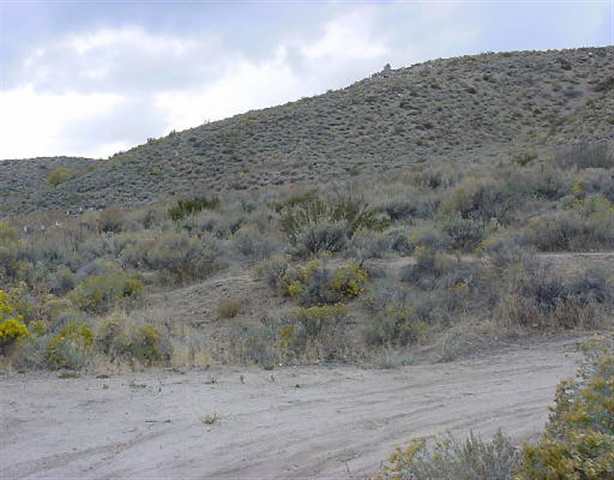 Lot226 North Red Rock Road Reno, NV 89506 - Photo 1 of 1 Gallery Image 1