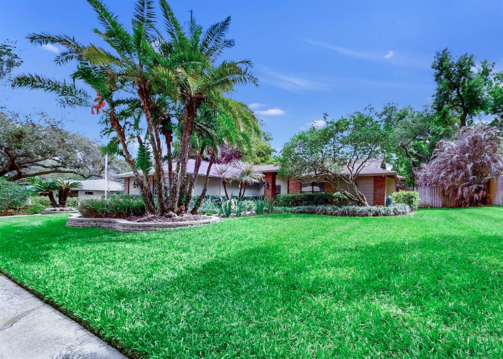 401 Penn National Road Seffner, FL 33584 - Photo 14 of 90