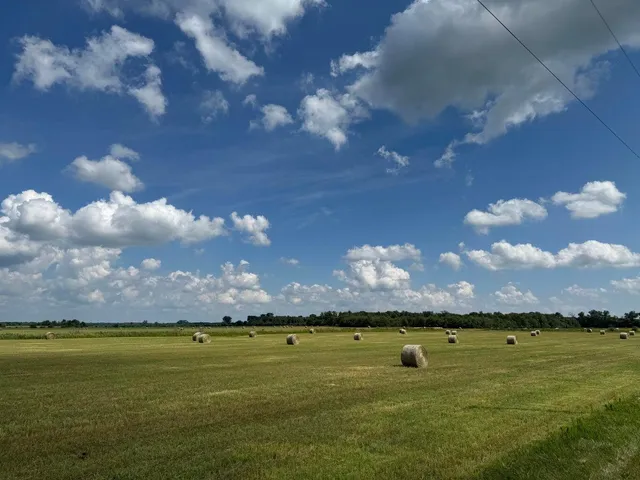 a view of an ocean and a yard