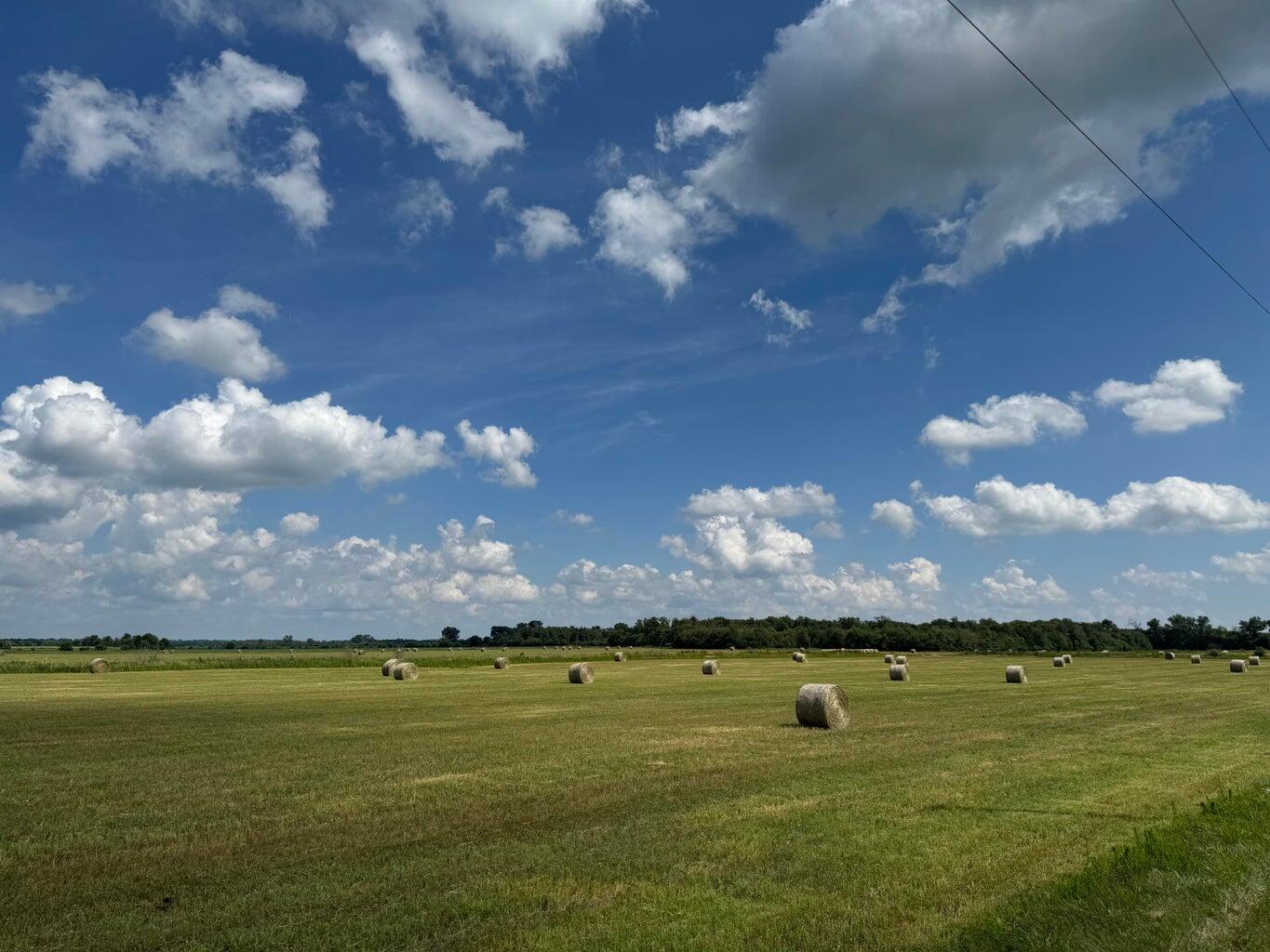 8291-8351 North St Road Lake Village, IN 46349 - Photo 2 of 4 a view of an ocean and a yard