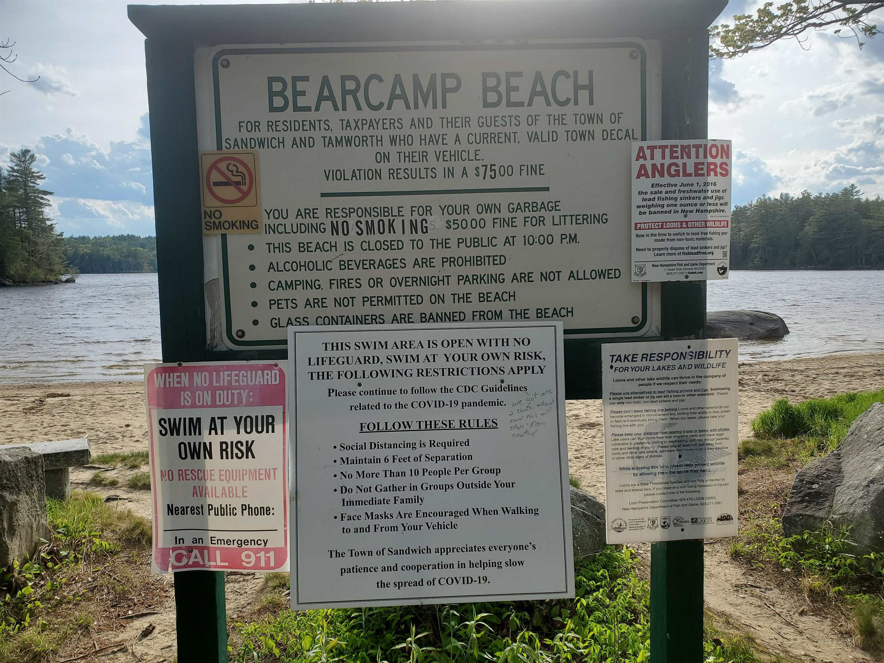 68 Bearcamp Pond Road Sandwich, NH 03227 - Photo 45 of 60