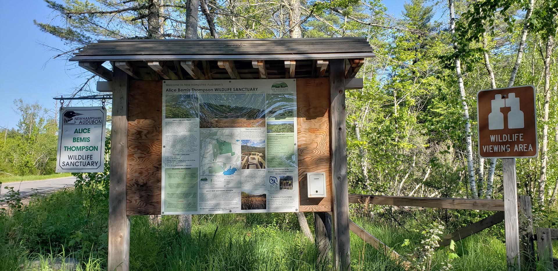 68 Bearcamp Pond Road Sandwich, NH 03227 - Photo 51 of 60