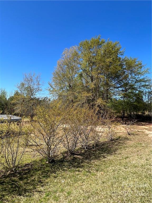 5.58 /- Acres Woods Ferry Road Carlisle, SC 29031 - Photo 1 of 10 Gallery Image 1