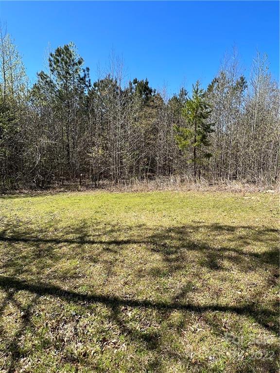 5.58 /- Acres Woods Ferry Road Carlisle, SC 29031 - Photo 8 of 10 Gallery Image 8