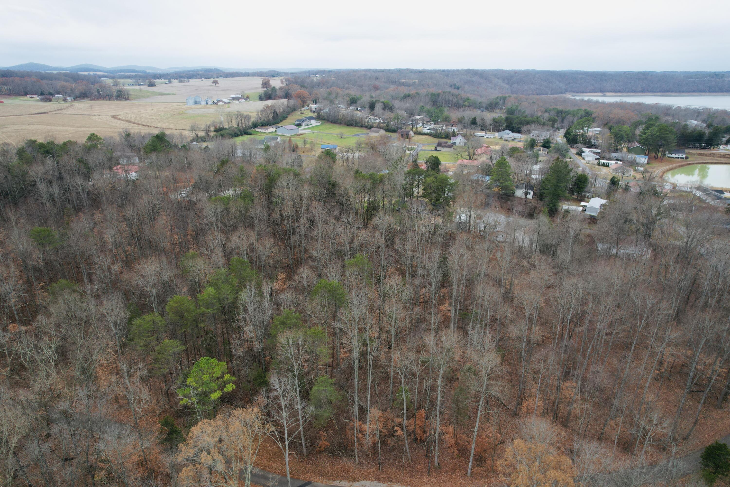 320 Smith McClees Road Monticello, KY 42633 - Photo 6 of 9 dji_fly_20221205_135604_504_167026669150