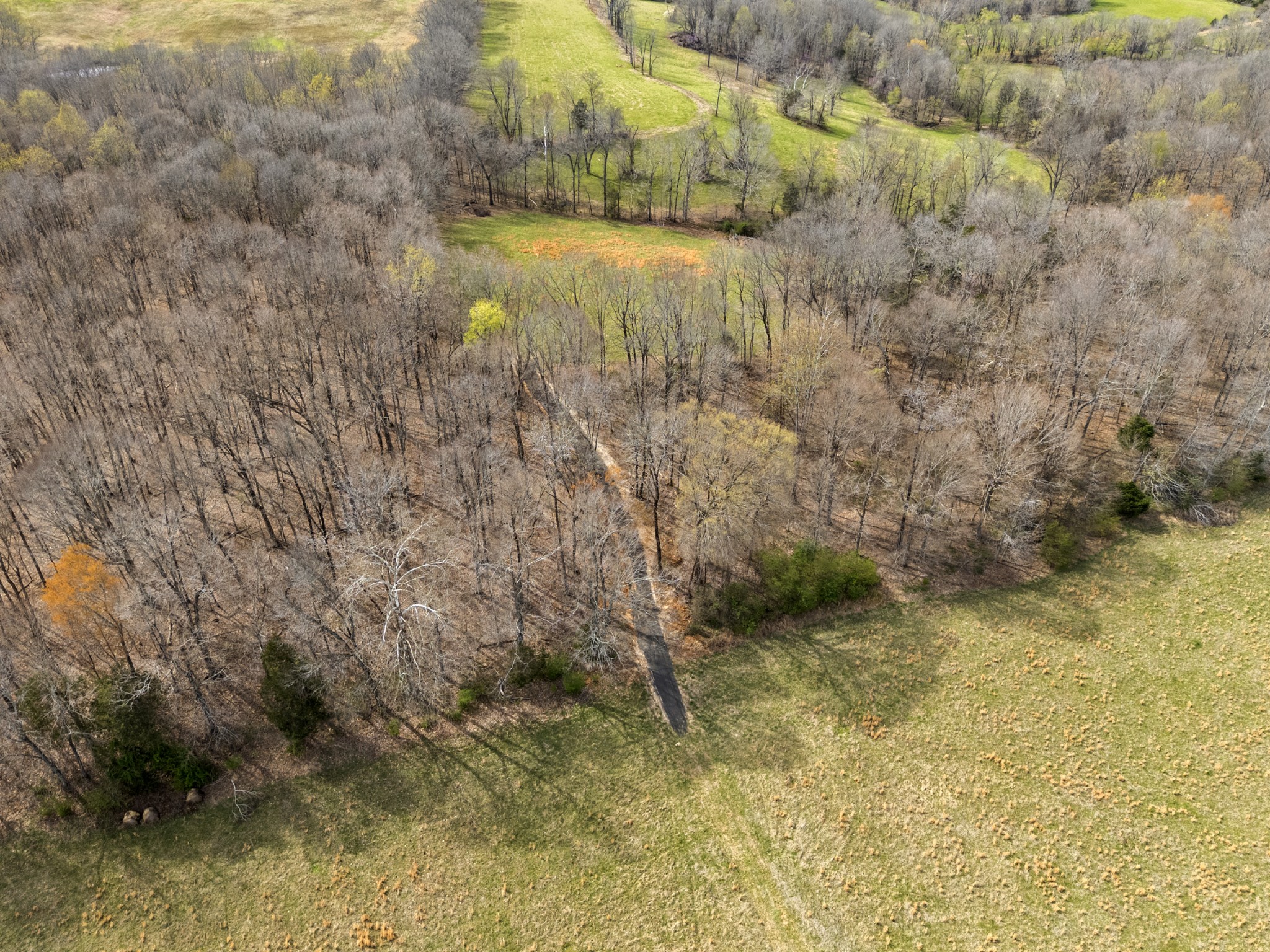 0 Maple Grove Road Dickson, TN 37055 - Photo 12 of 29