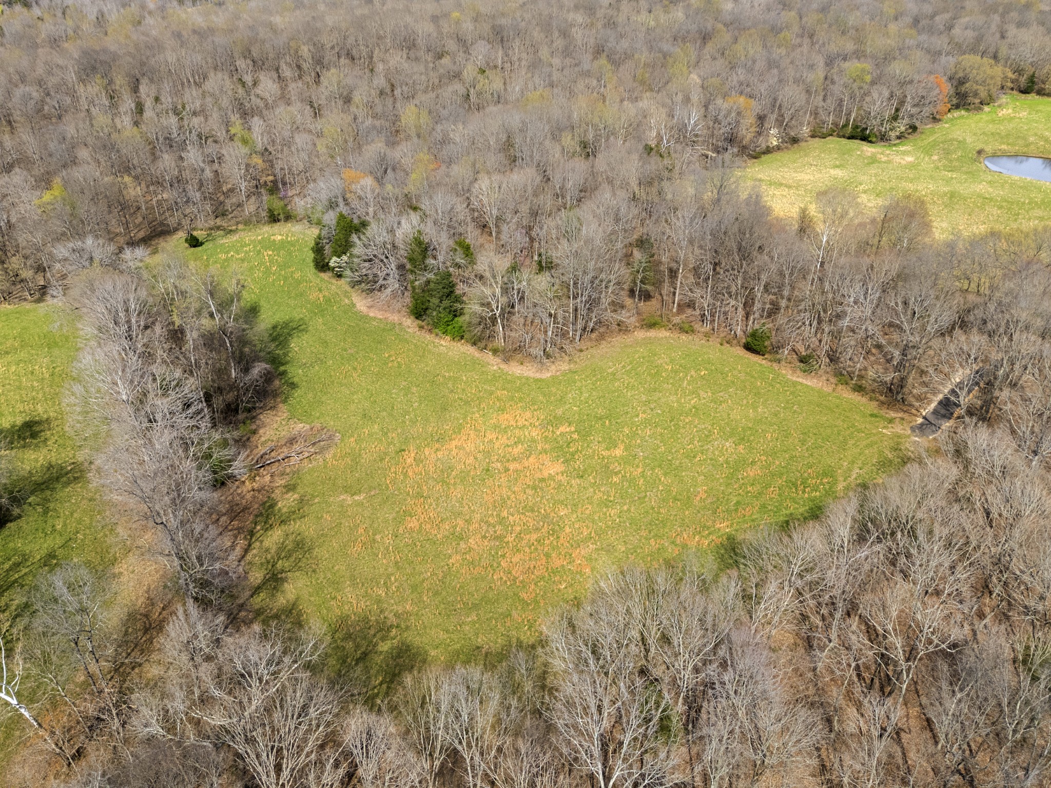 0 Maple Grove Road Dickson, TN 37055 - Photo 13 of 29