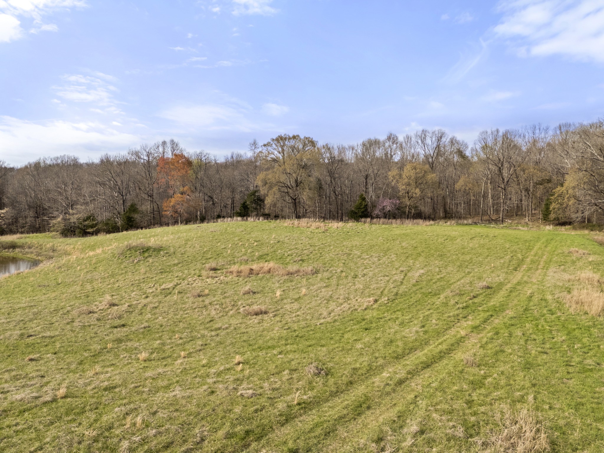 0 Maple Grove Road Dickson, TN 37055 - Photo 17 of 29