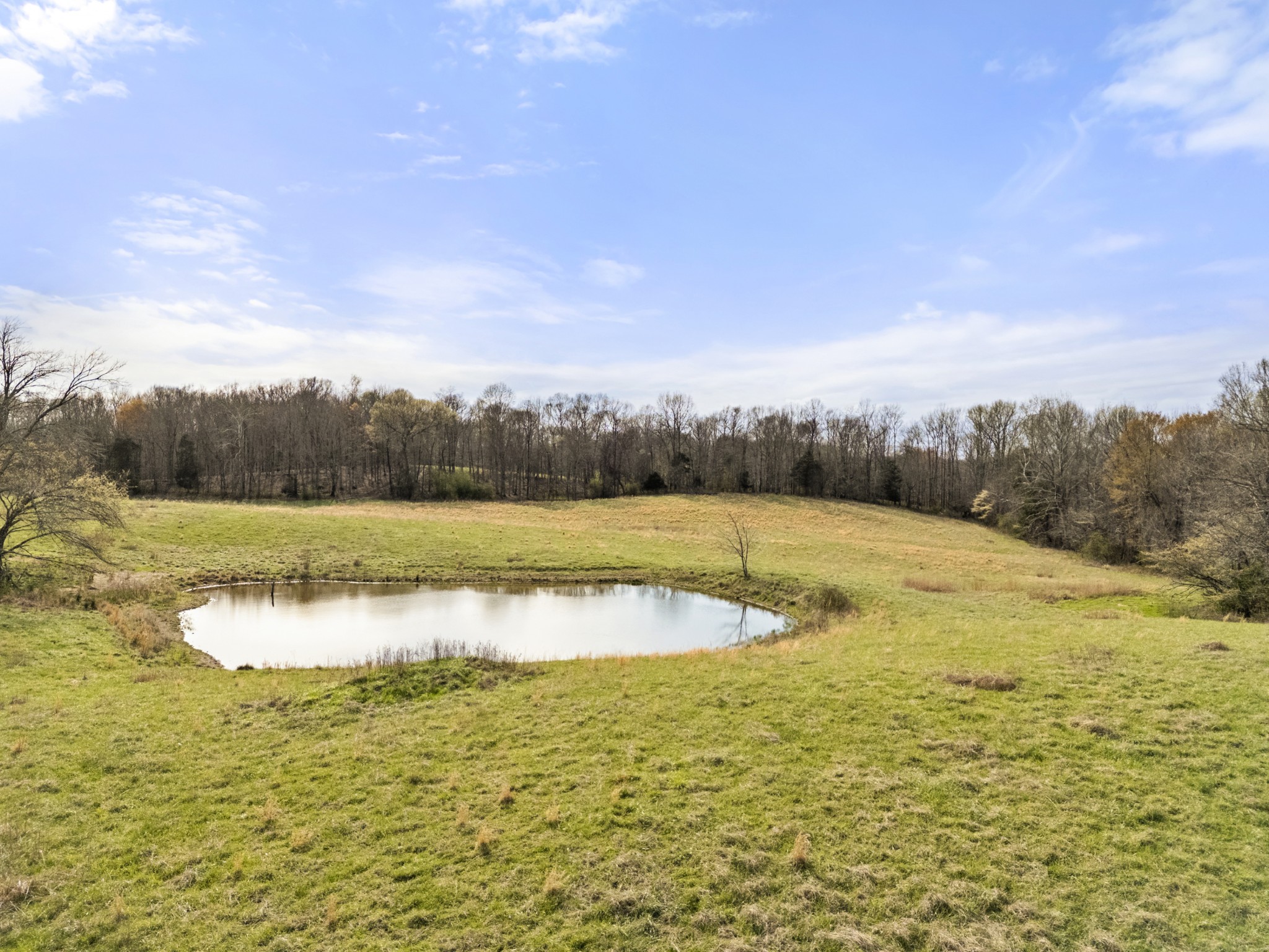 0 Maple Grove Road Dickson, TN 37055 - Photo 18 of 29