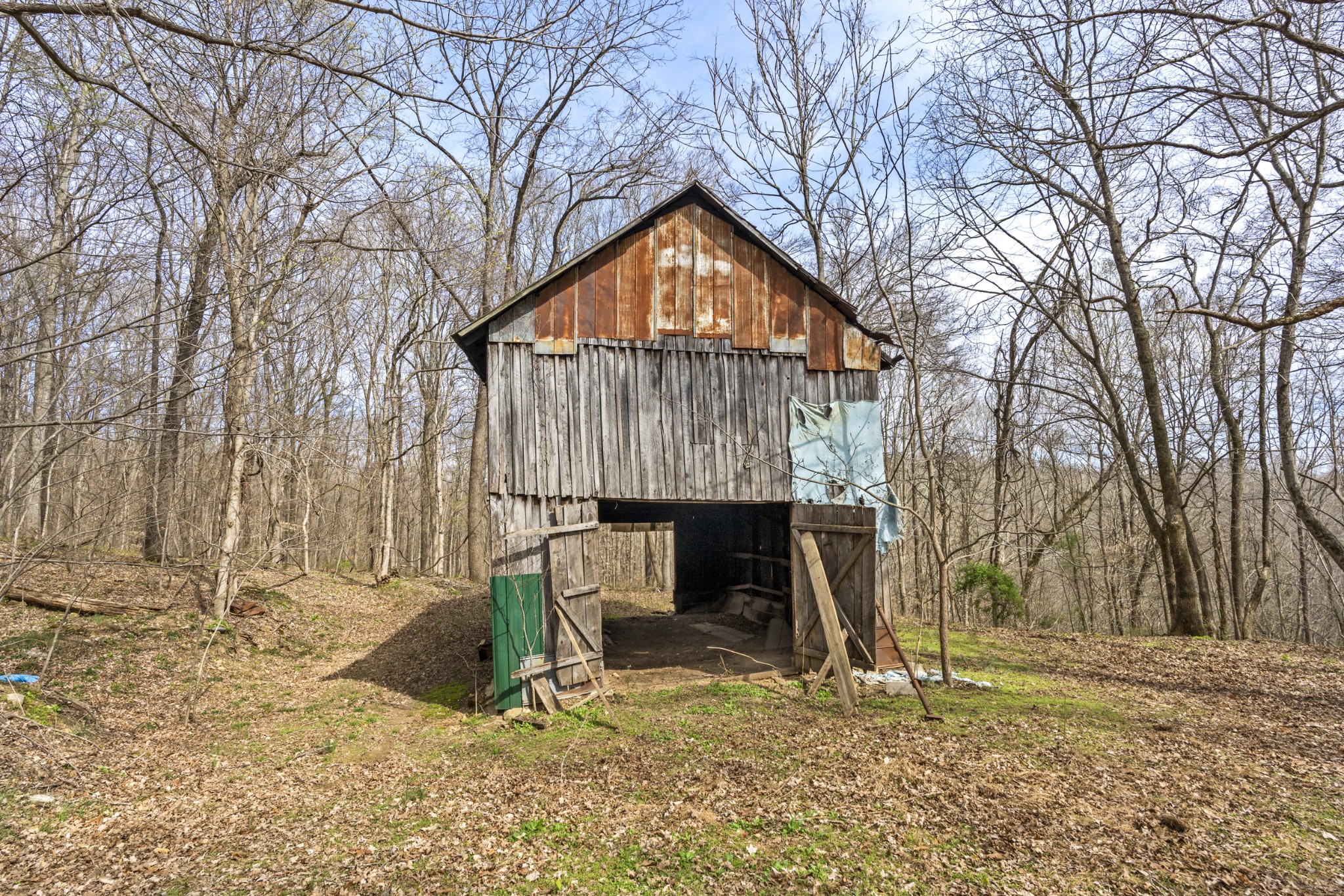 0 Maple Grove Road Dickson, TN 37055 - Photo 19 of 29