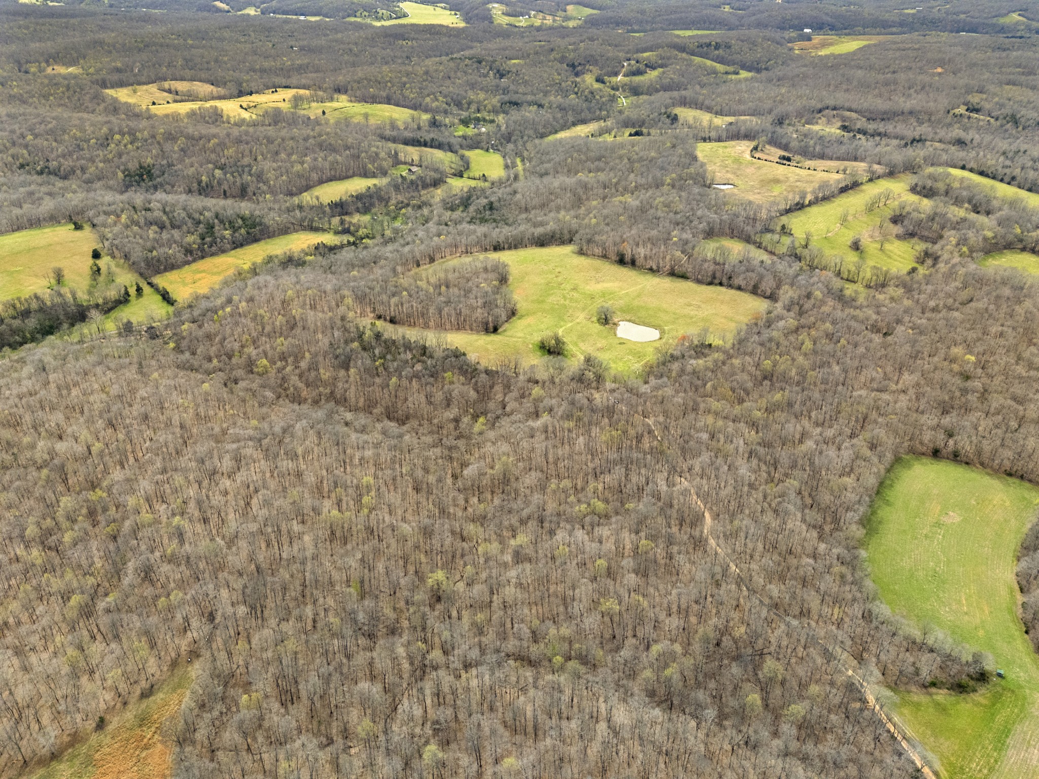 0 Maple Grove Road Dickson, TN 37055 - Photo 2 of 29