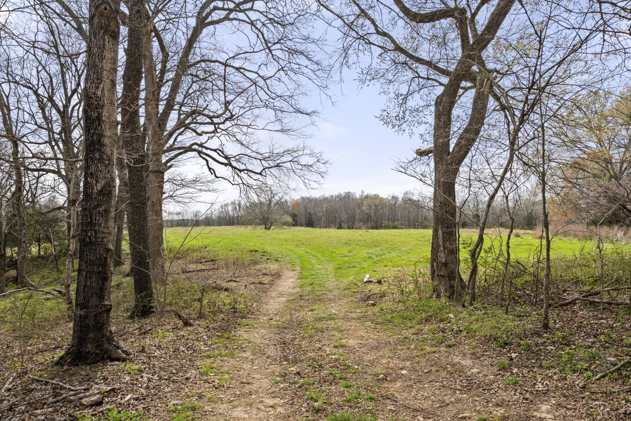 0 Maple Grove Road Dickson, TN 37055 - Photo 21 of 29