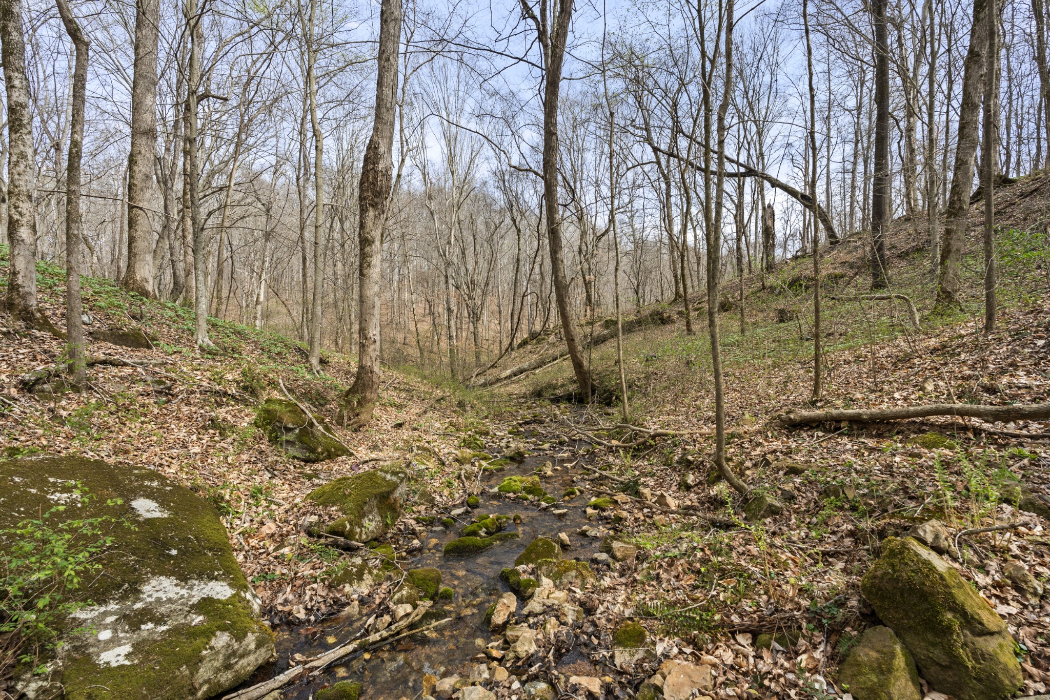 0 Maple Grove Road Dickson, TN 37055 - Photo 22 of 29