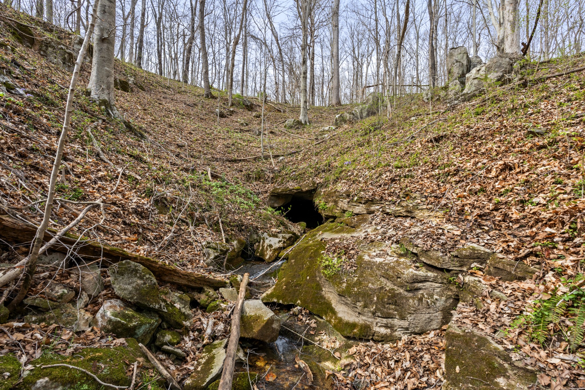 0 Maple Grove Road Dickson, TN 37055 - Photo 23 of 29