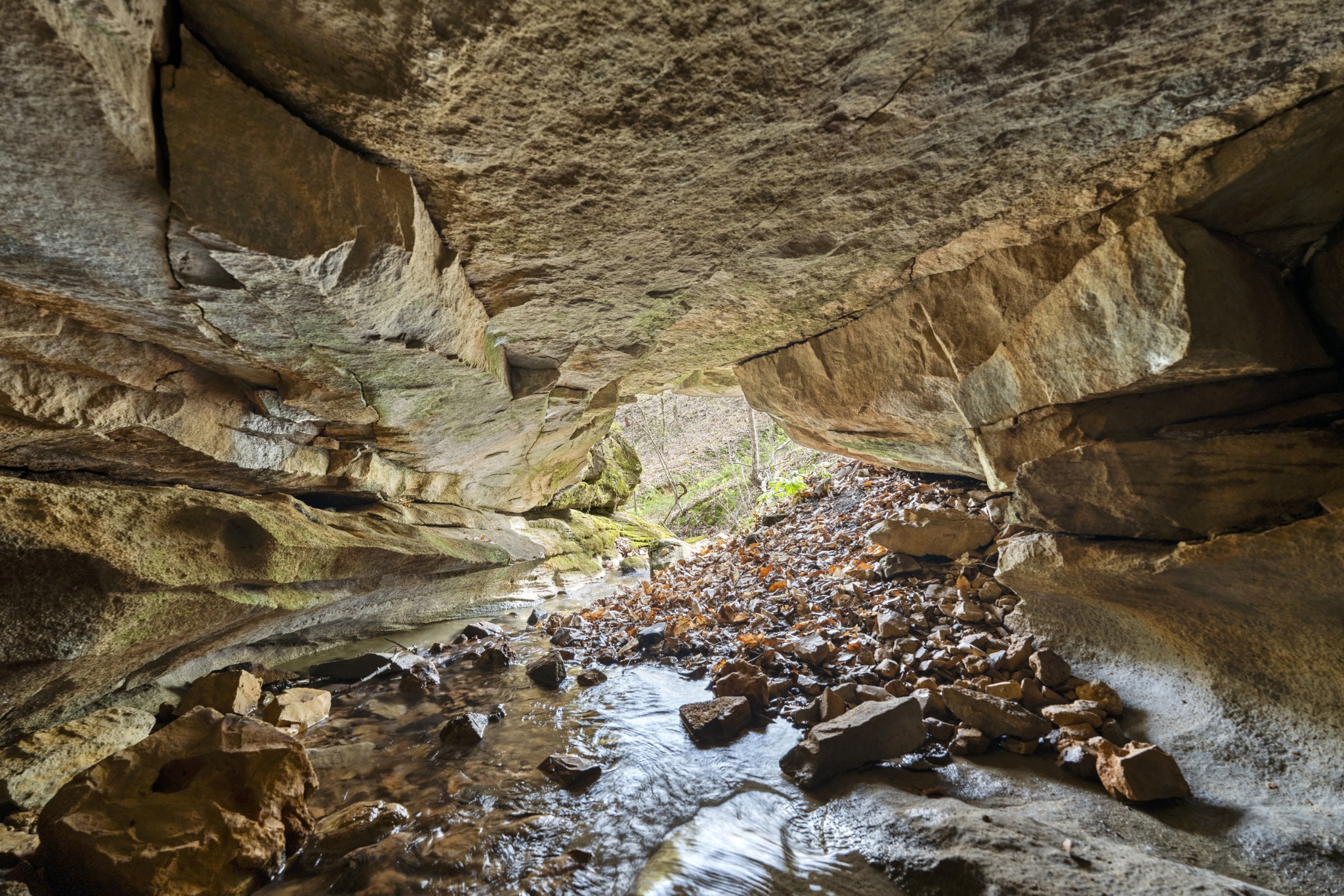0 Maple Grove Road Dickson, TN 37055 - Photo 24 of 29