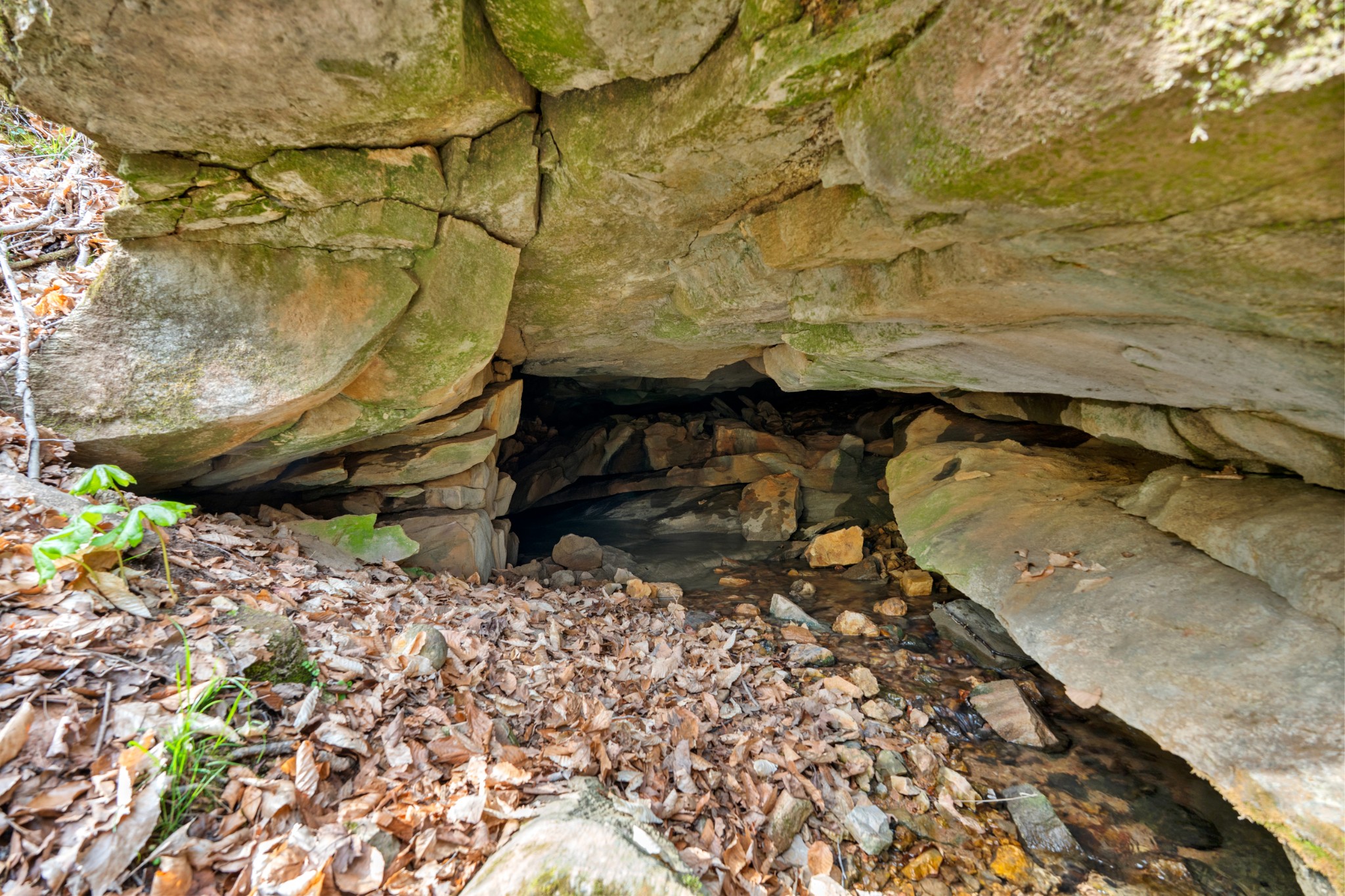 0 Maple Grove Road Dickson, TN 37055 - Photo 25 of 29