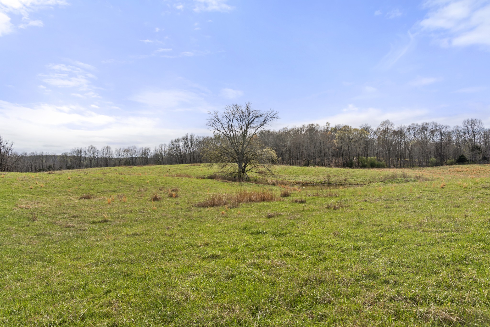 0 Maple Grove Road Dickson, TN 37055 - Photo 27 of 29