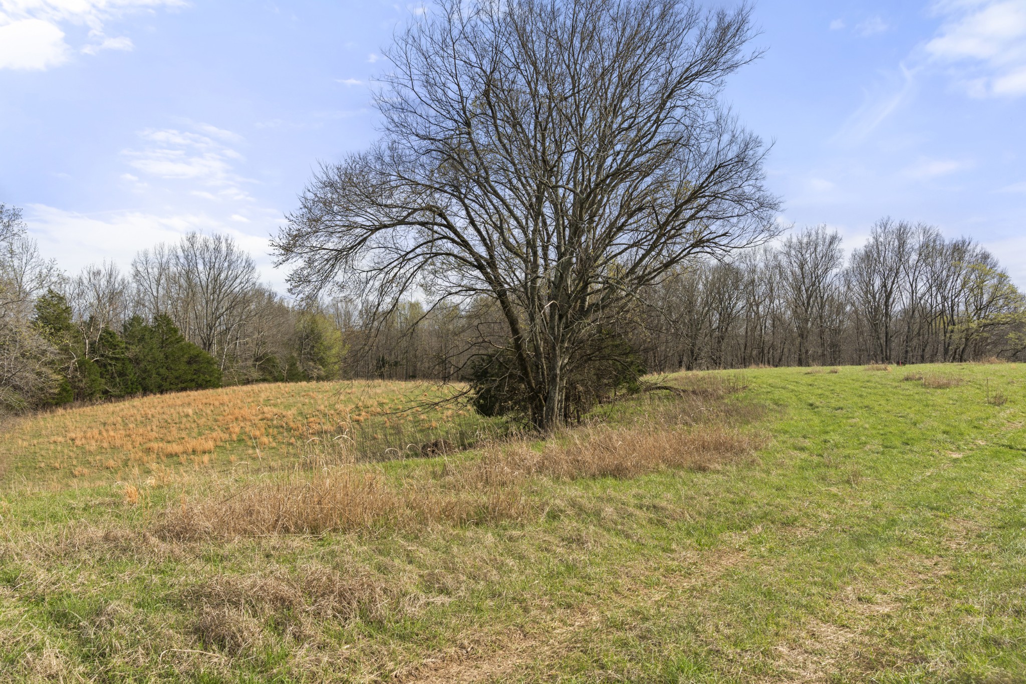 0 Maple Grove Road Dickson, TN 37055 - Photo 28 of 29