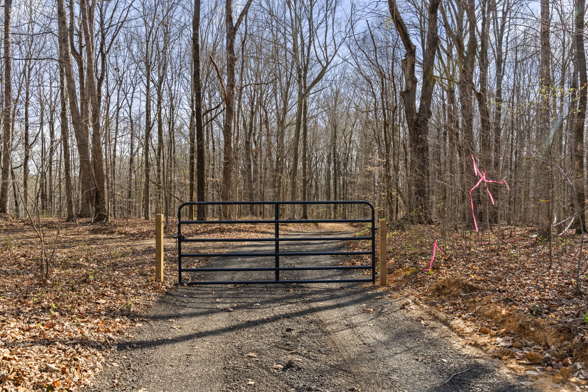 0 Maple Grove Road Dickson, TN 37055 - Photo 29 of 29