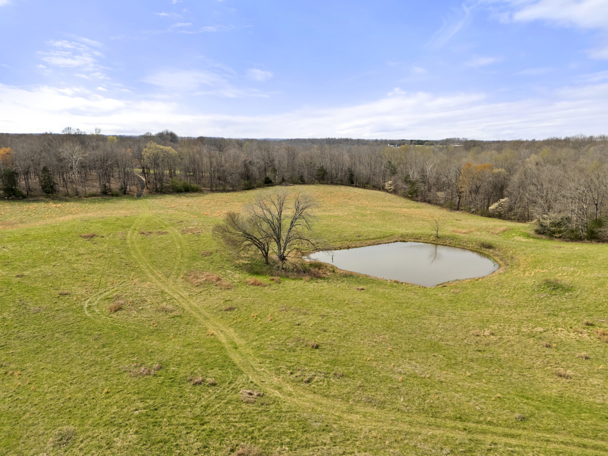 0 Maple Grove Road Dickson, TN 37055 - Photo 8 of 29