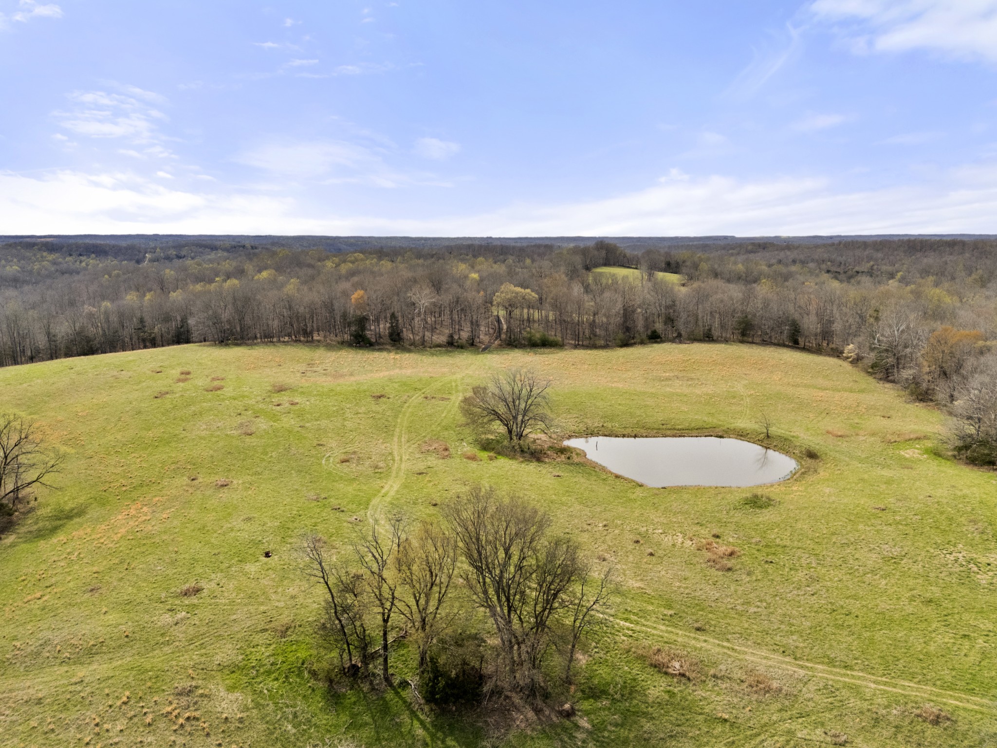 0 Maple Grove Road Dickson, TN 37055 - Photo 10 of 29