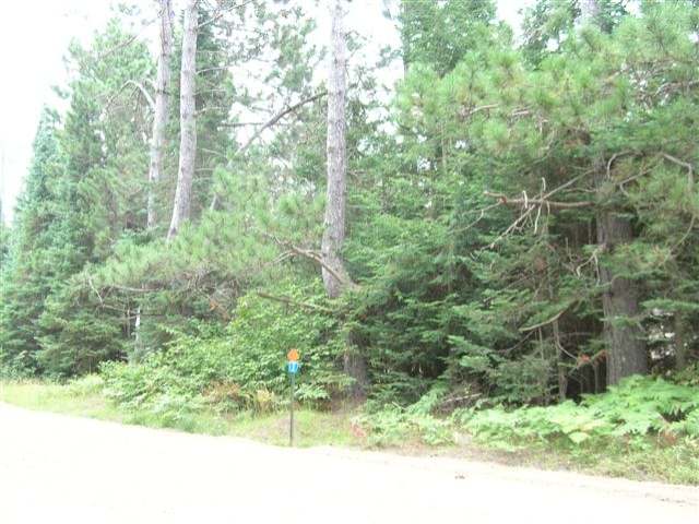 6340 Steve Javenkowski Road Three Lakes, WI 54562 - Photo 15 of 15 Gallery Image 15