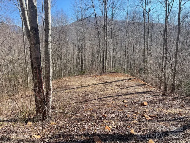 a view of basketball court