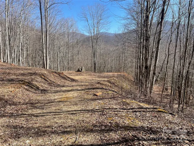 a view of a backyard of the house