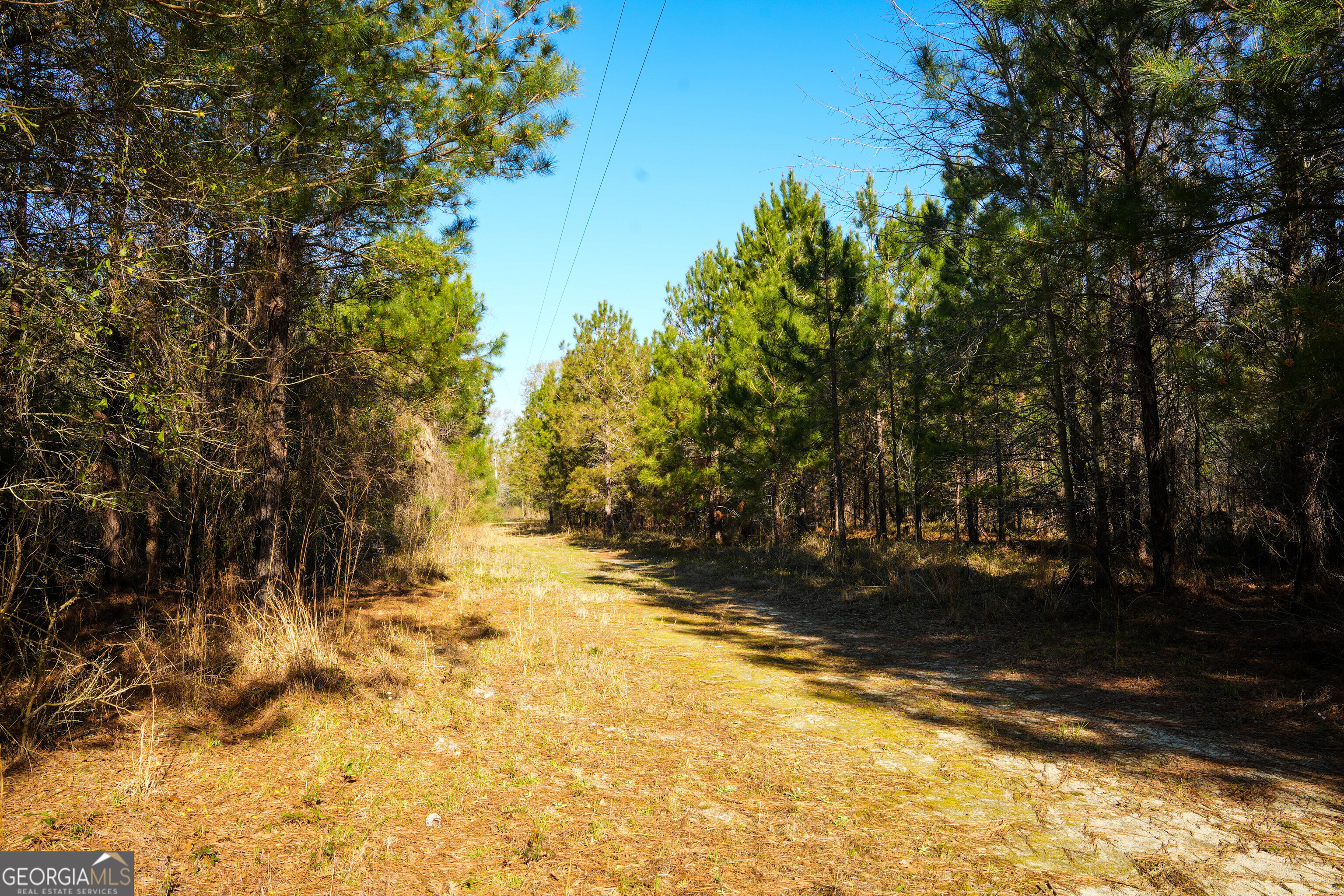 0 Clifton Road Statesboro, GA 30458 - Photo 14 of 23