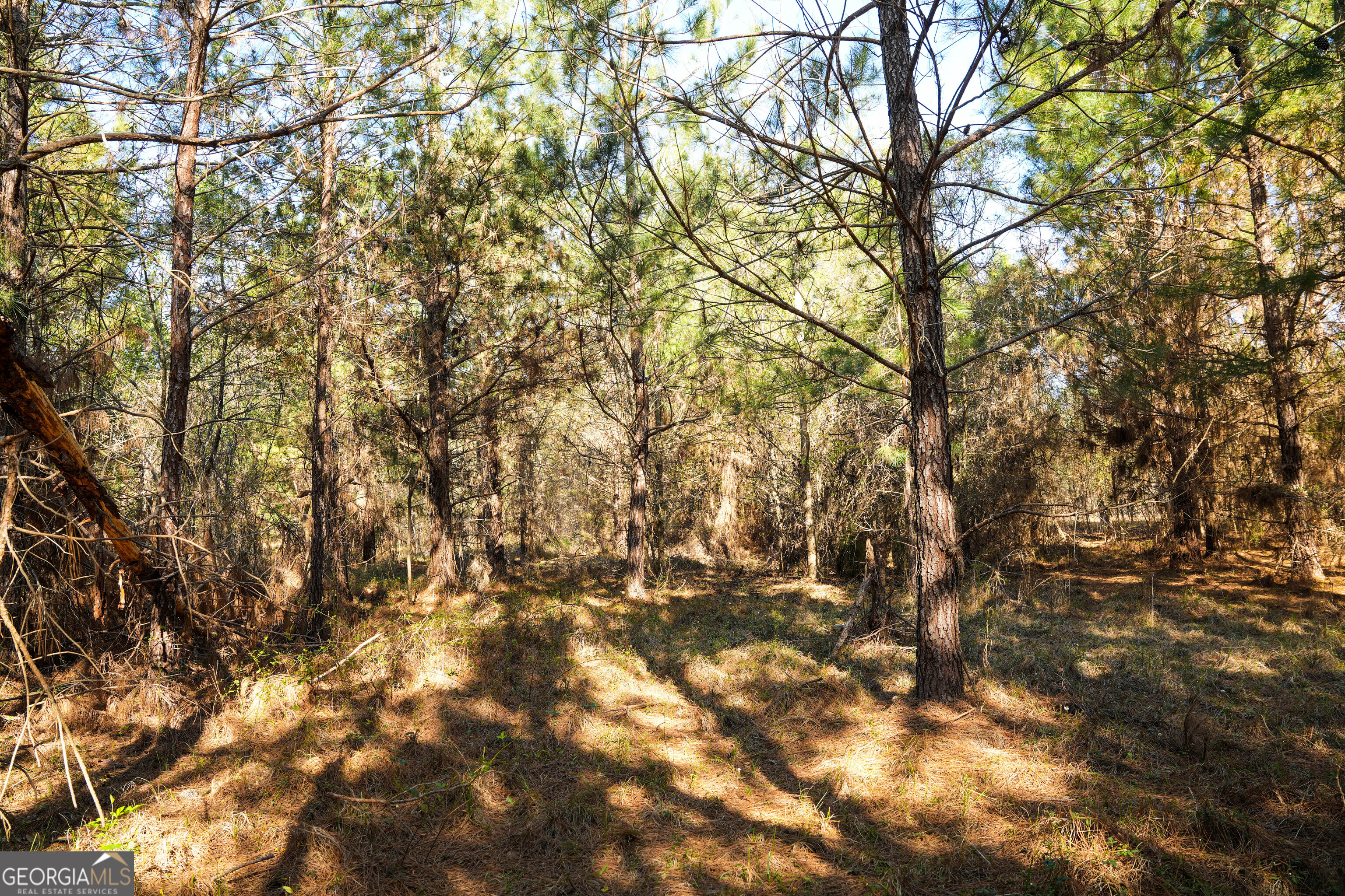 0 Clifton Road Statesboro, GA 30458 - Photo 18 of 23