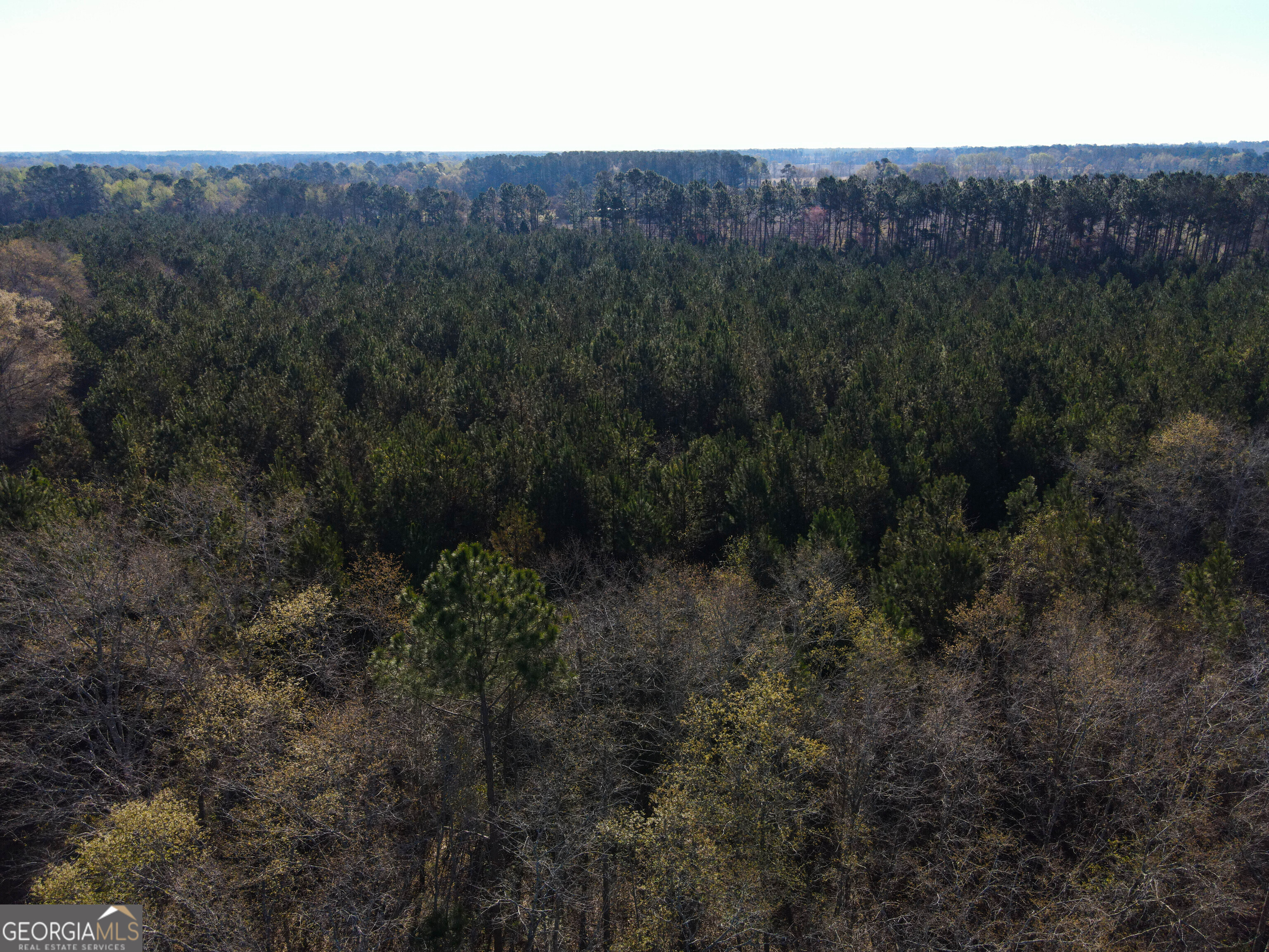 0 Clifton Road Statesboro, GA 30458 - Photo 3 of 23