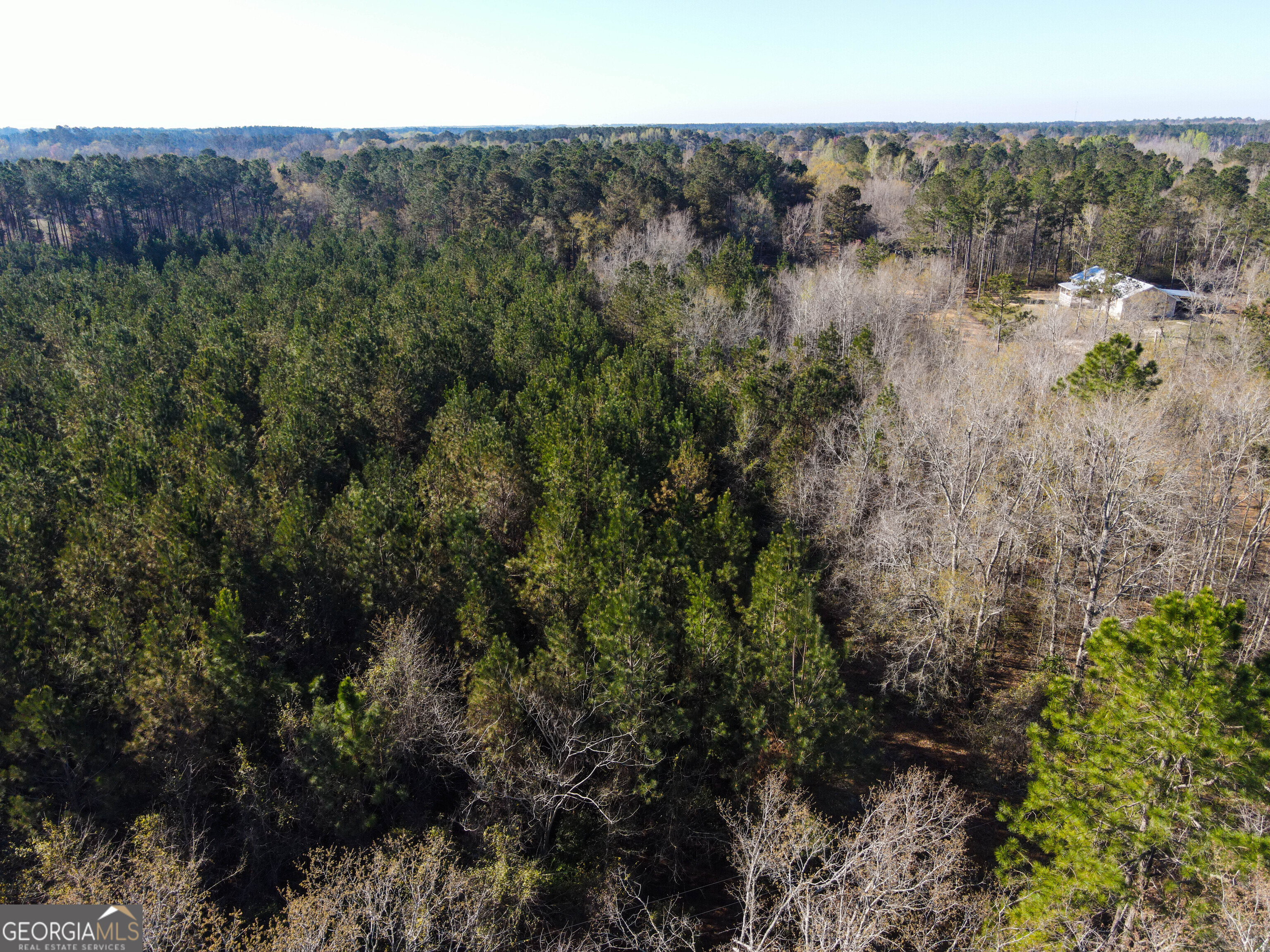 0 Clifton Road Statesboro, GA 30458 - Photo 5 of 23 a view of a field of grass and trees