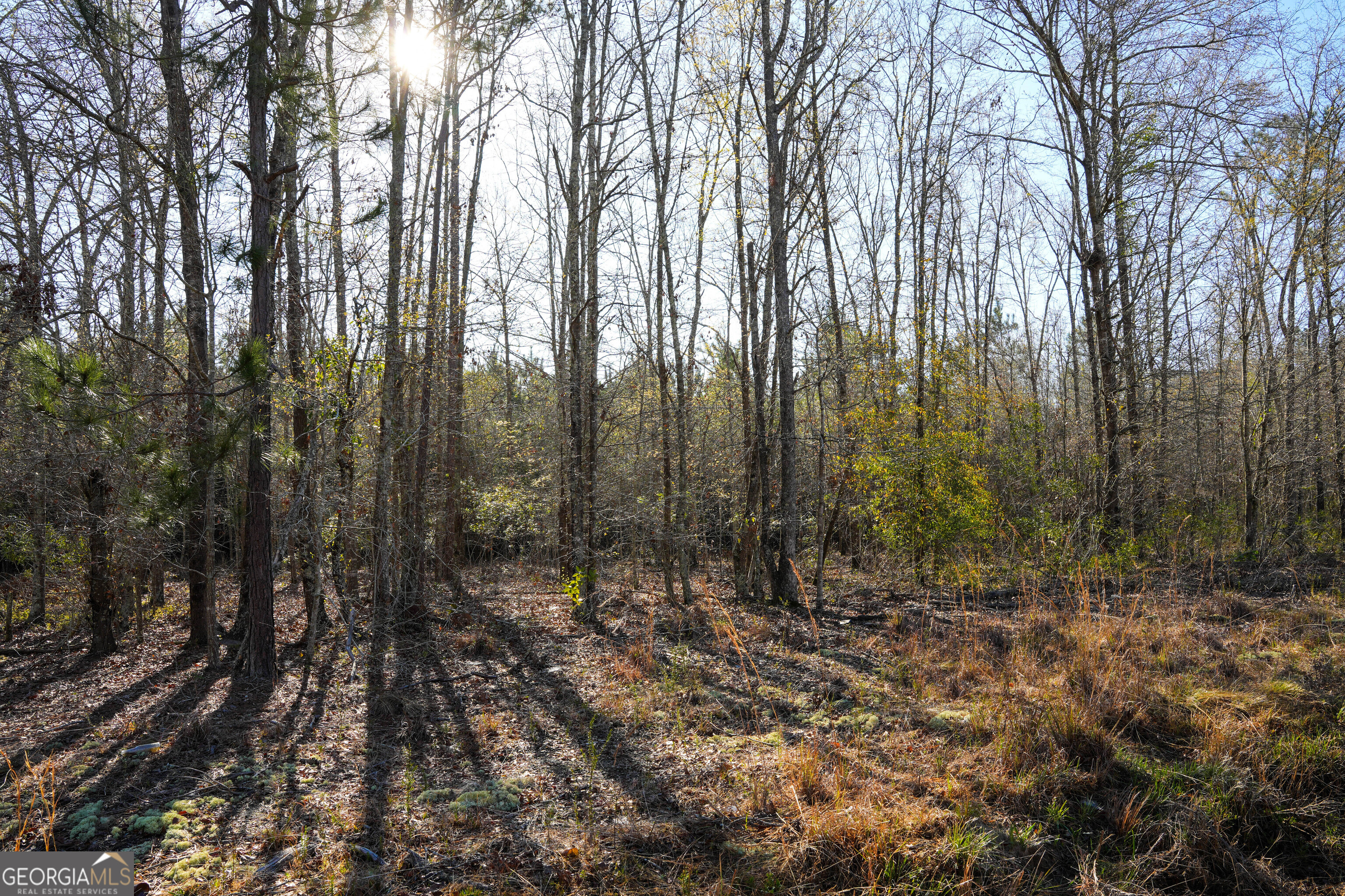 0 Clifton Road Statesboro, GA 30458 - Photo 6 of 23 a view of outdoor space with lots of trees