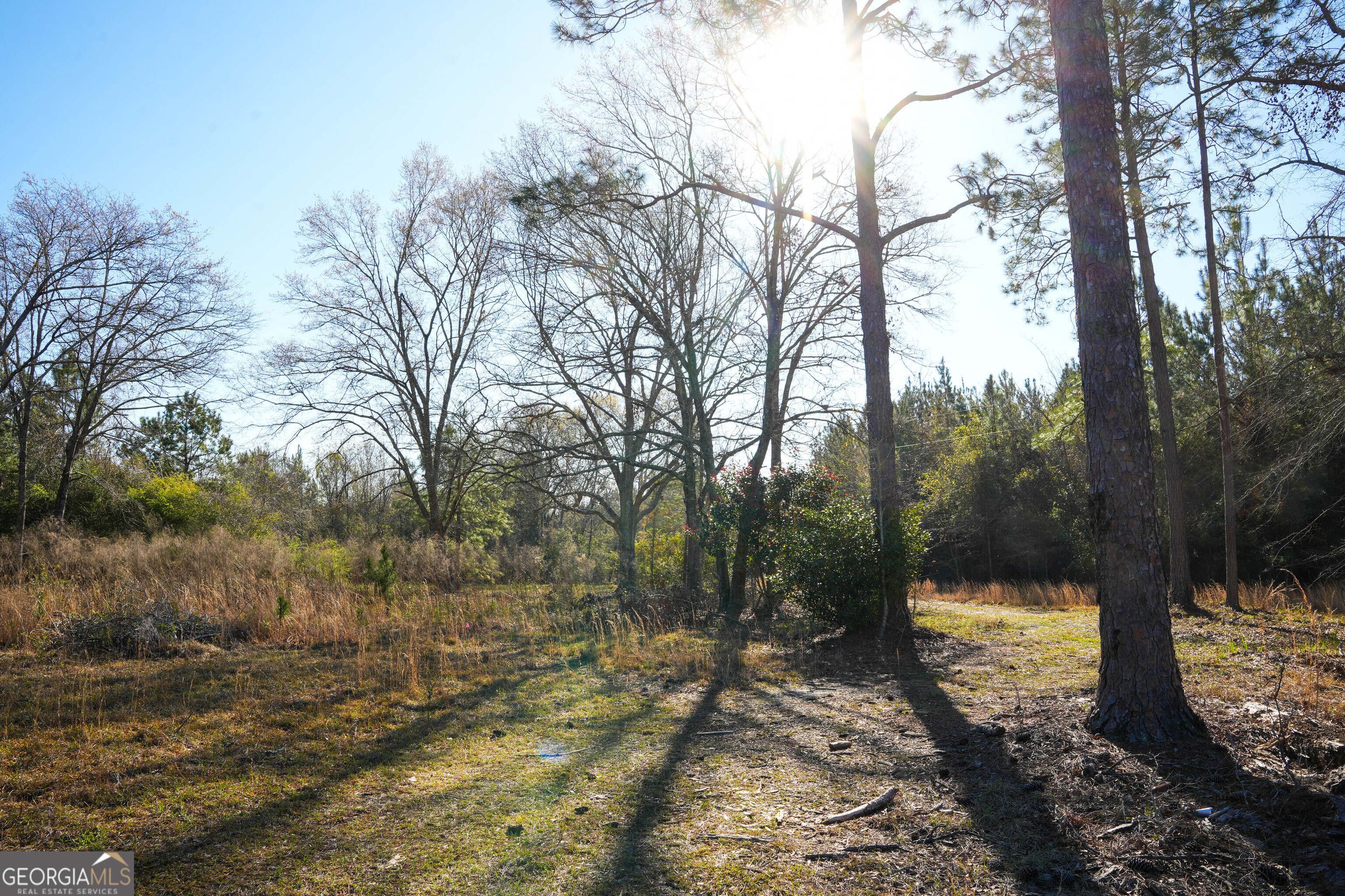 0 Clifton Road Statesboro, GA 30458 - Photo 9 of 23 a view of a yard with trees in the background