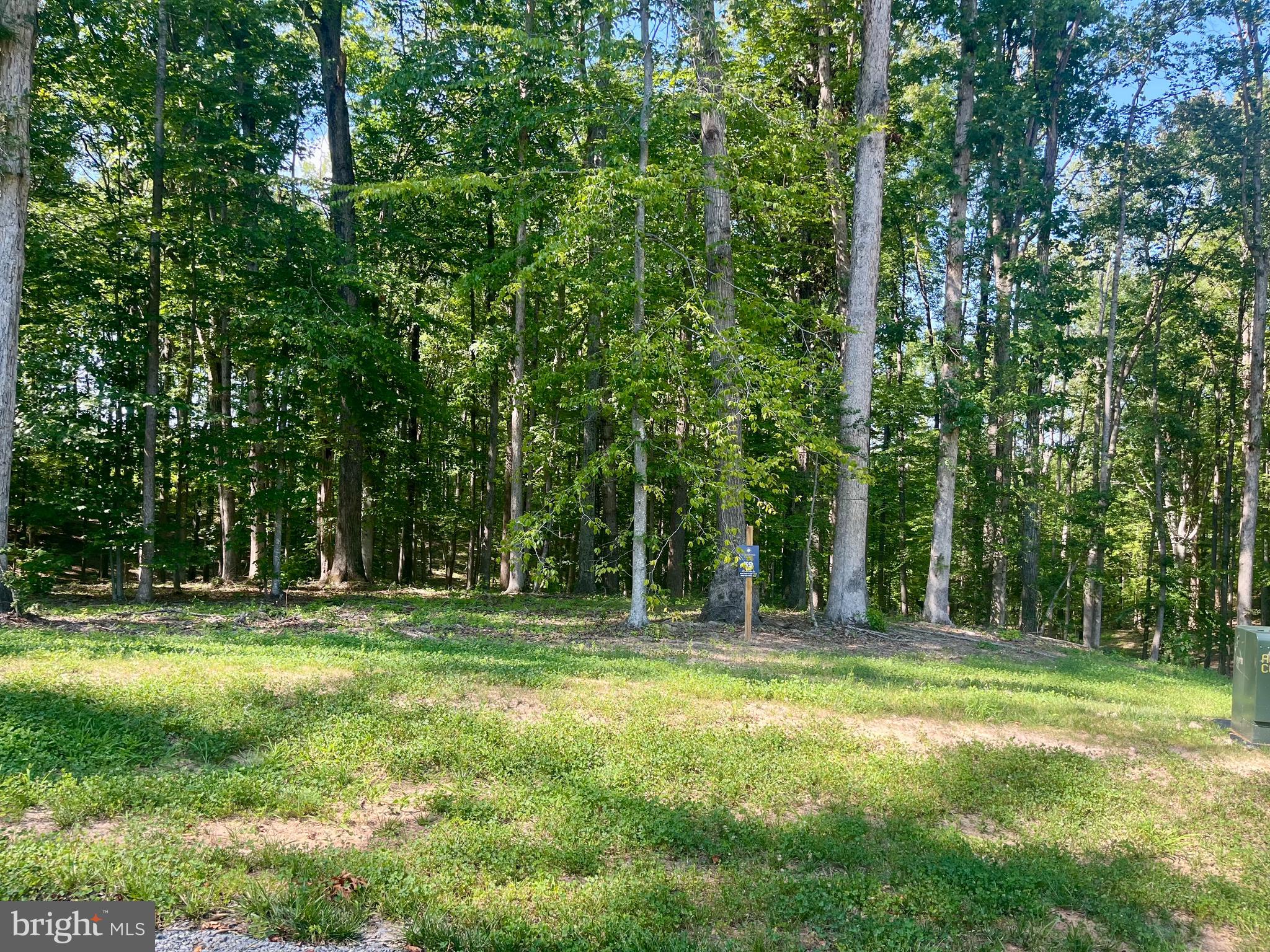 Lot 39 Southern Ridge Mineral, VA 23117 - Photo 2 of 4 a house view with outdoor space