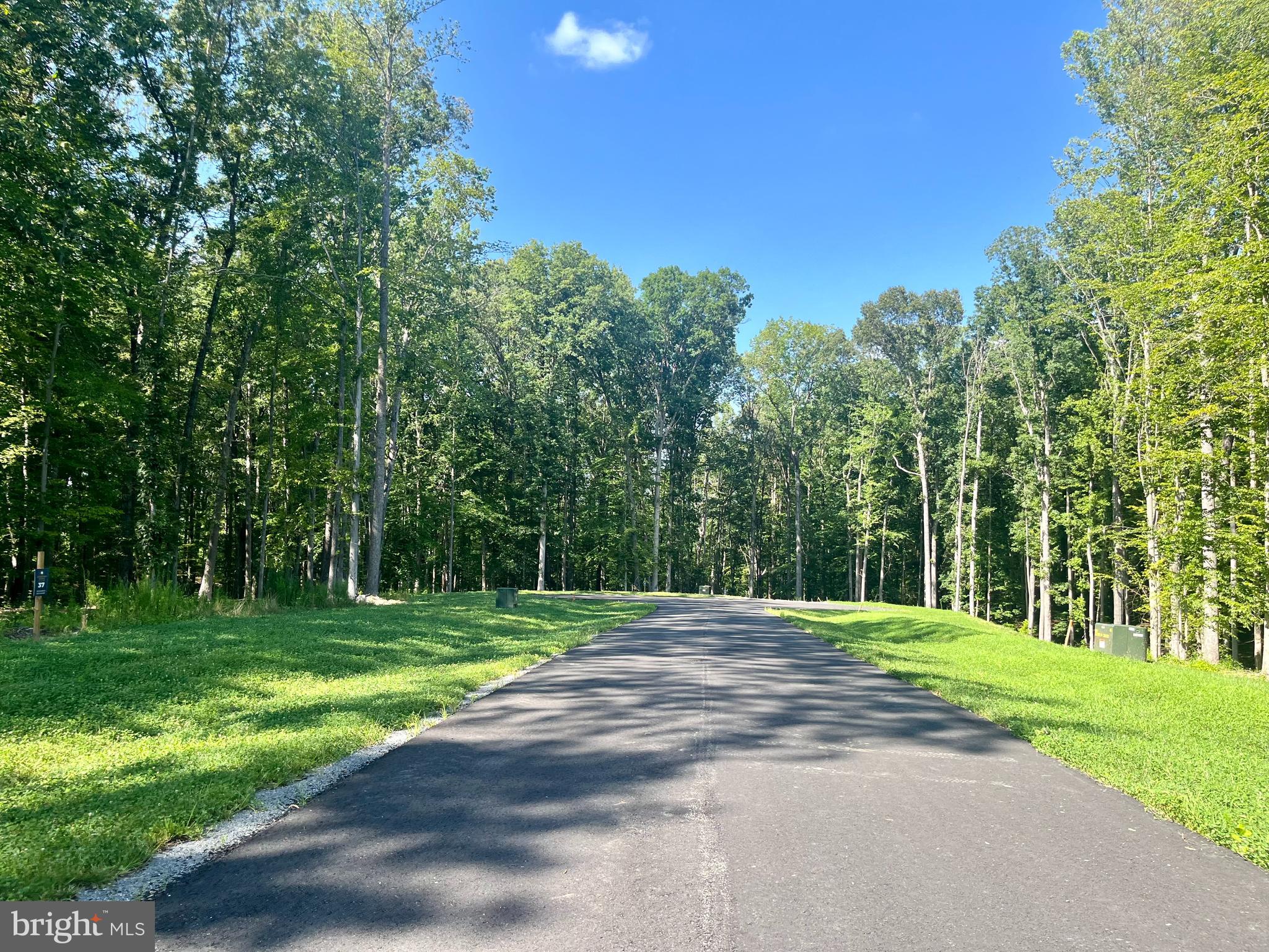Lot 39 Southern Ridge Mineral, VA 23117 - Photo 4 of 4 a big yard with lots of green space