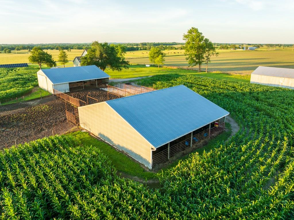 10791 Northeast State Rte D Butler, MO 64730 - Photo 21 of 99