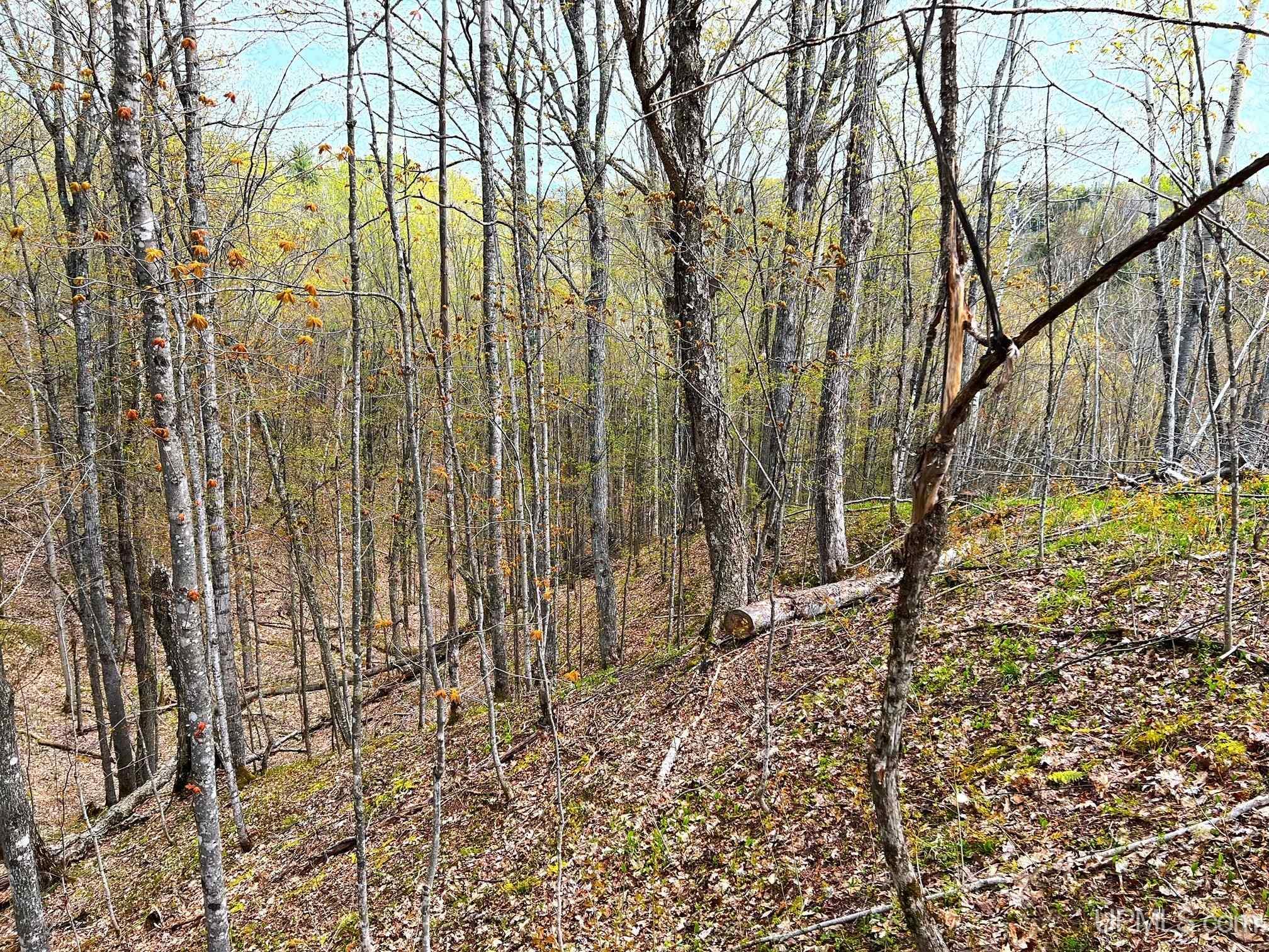 Tbd80 Tbd80 Off Baraga Plains Road Baraga, MI 49908 - Photo 19 of 25 Gallery Image 19