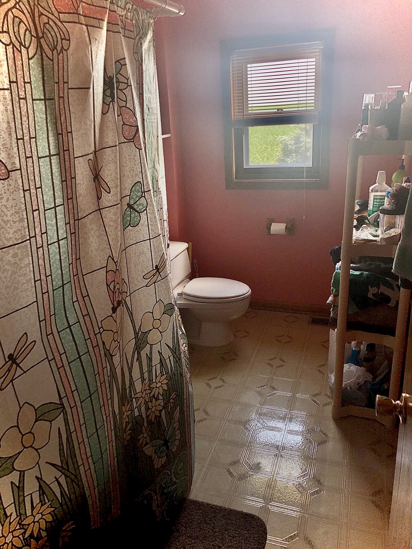 1810 Ashton Road Ashton, IL 61006 - Photo 13 of 30 a bathroom with a toilet and shower