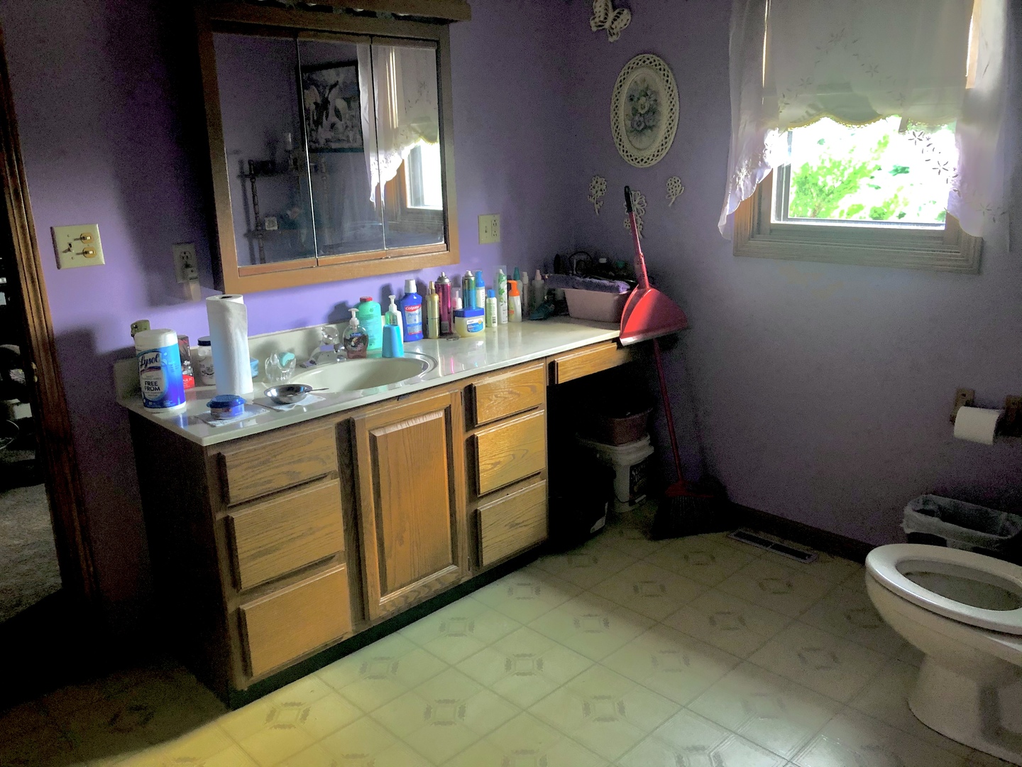 1810 Ashton Road Ashton, IL 61006 - Photo 18 of 30 a bathroom with a sink mirror vanity and toilet