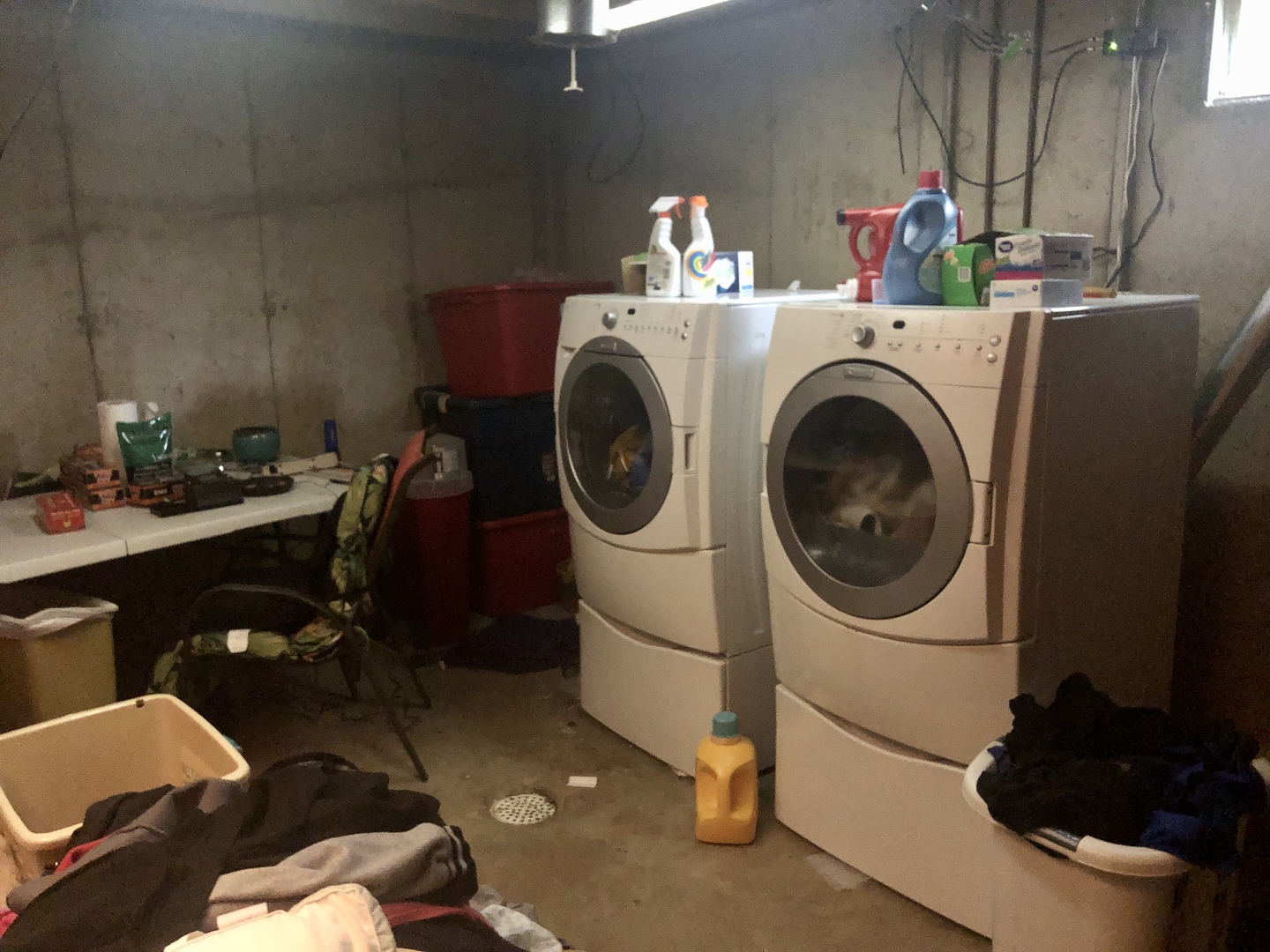 1810 Ashton Road Ashton, IL 61006 - Photo 20 of 30 a room with a washing machine and a rug