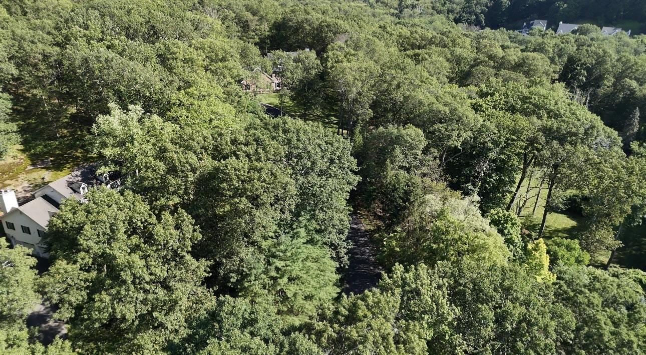 9 Sun Hill Road Somers, NY 10536 - Photo 4 of 5 view of a lots of trees and bushes