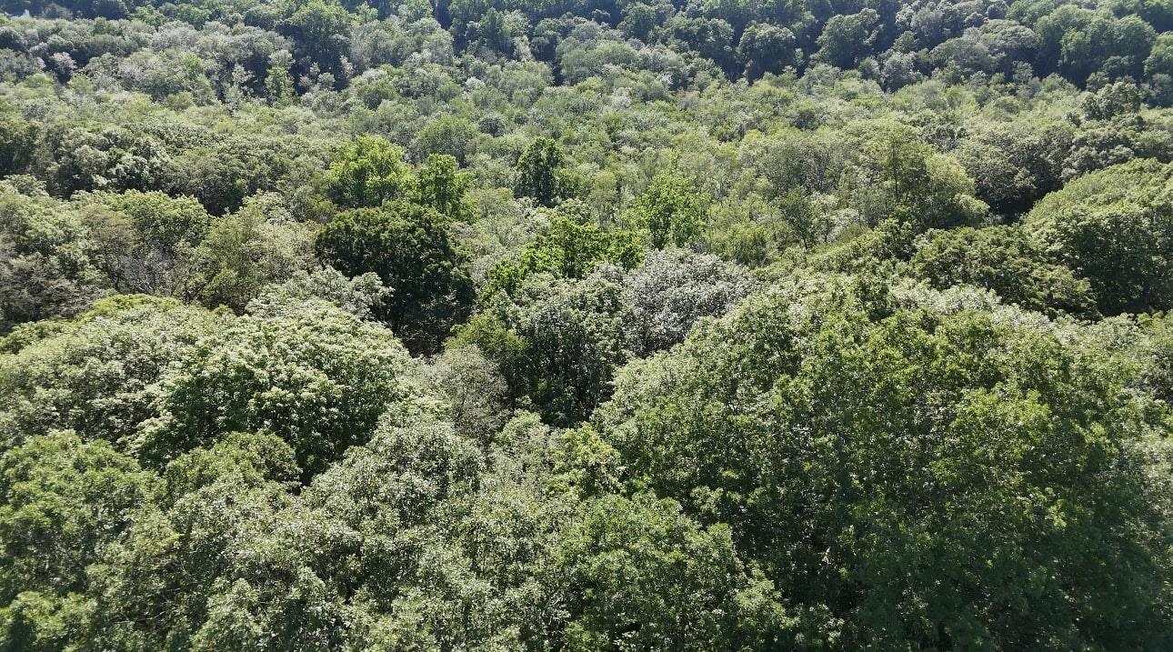 9 Sun Hill Road Somers, NY 10536 - Photo 5 of 5 an aerial view of residential house with outdoor space and trees all around