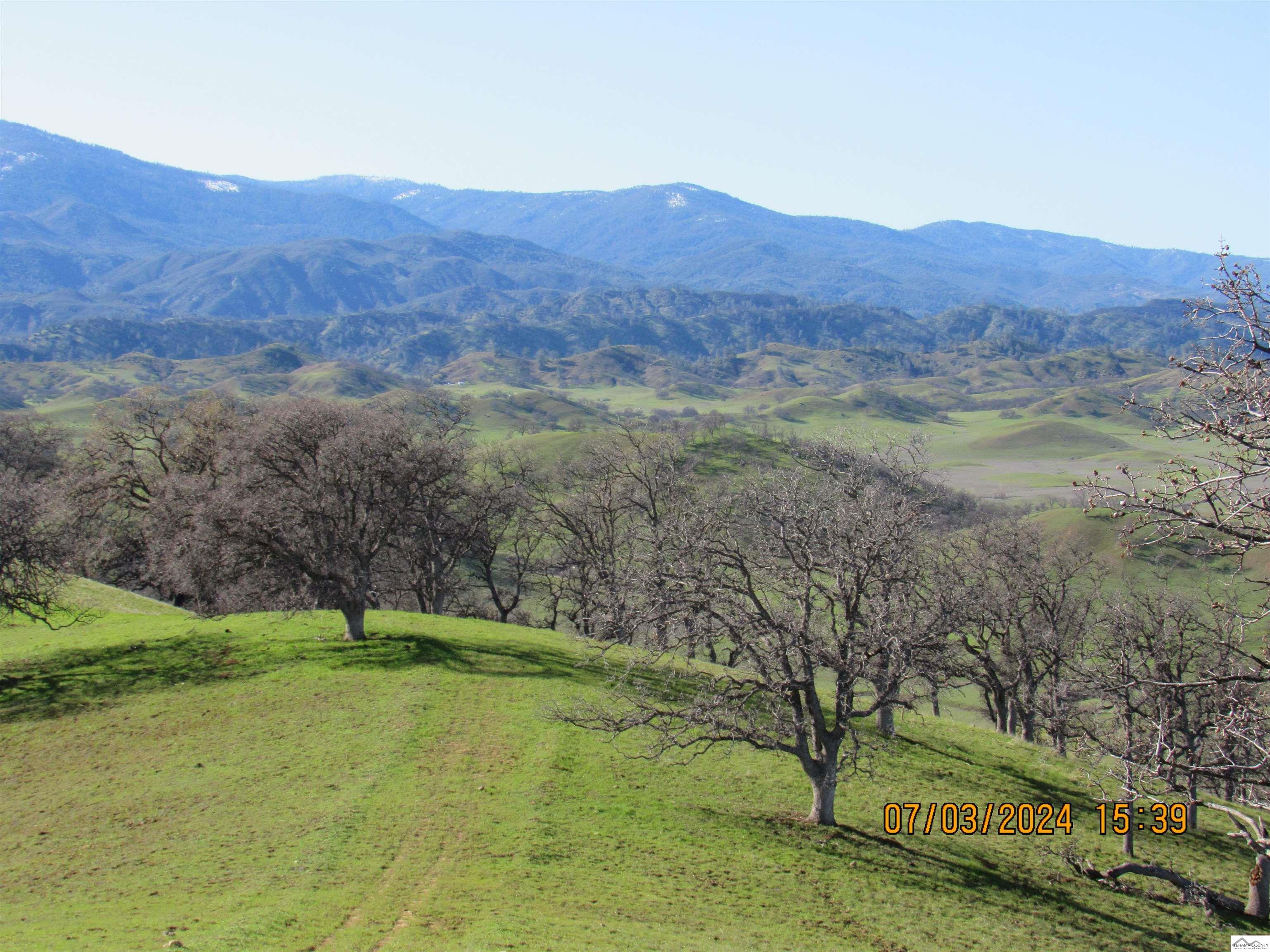 12755 Mccarty Creek Road Red Bluff, CA 96074 - Photo 14 of 28