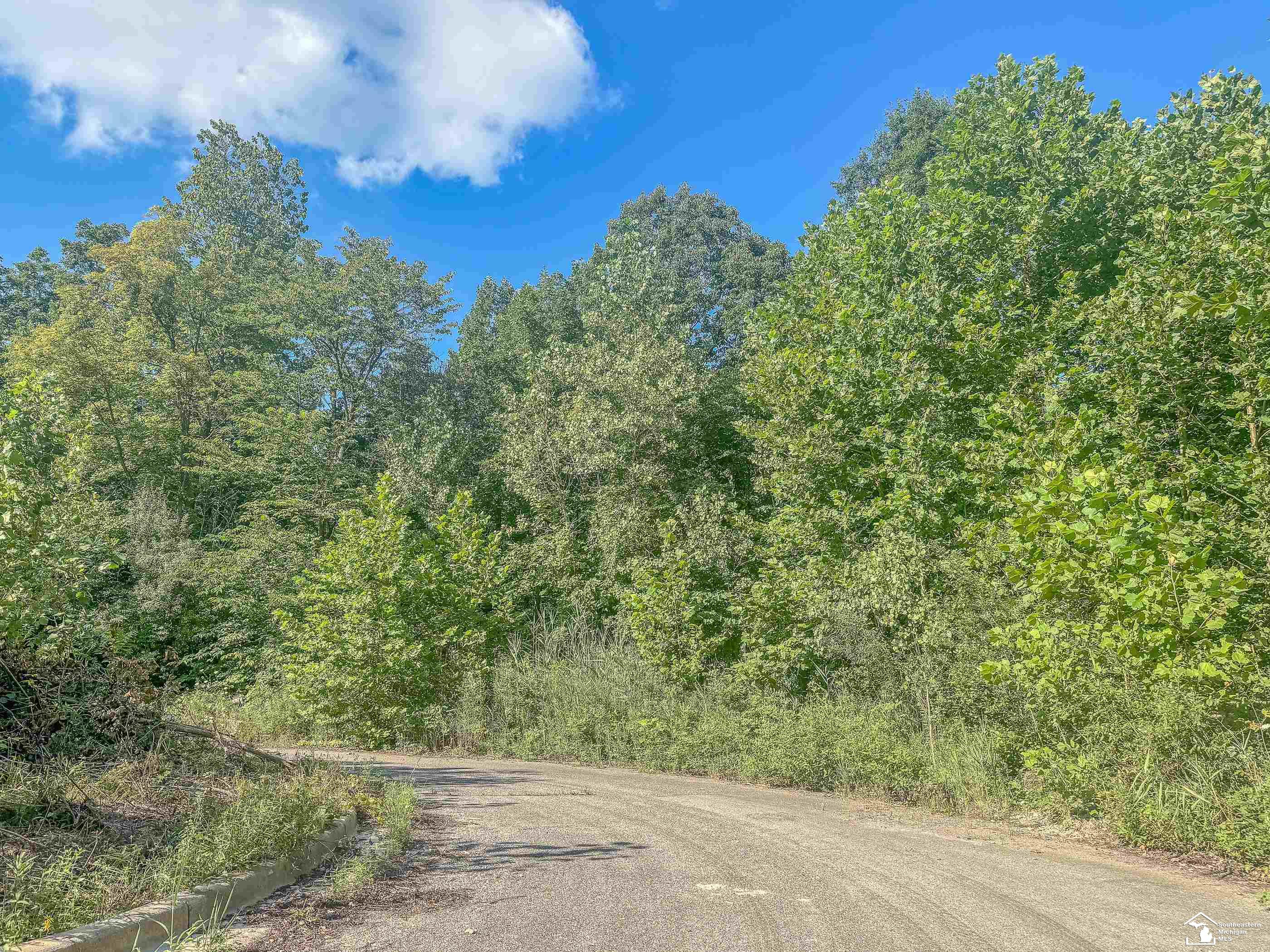 0 Douglas Road Temperance, MI 48182 - Photo 4 of 5