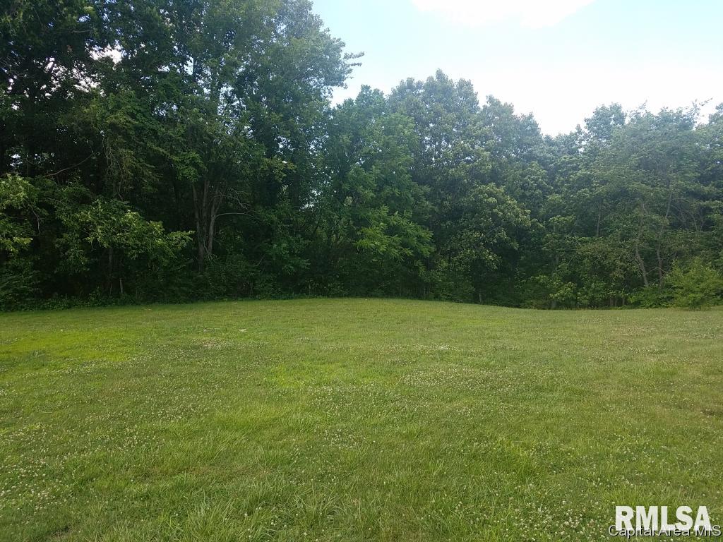 13014 Blooming Grove Road Palmyra, IL 62674 - Photo 17 of 26