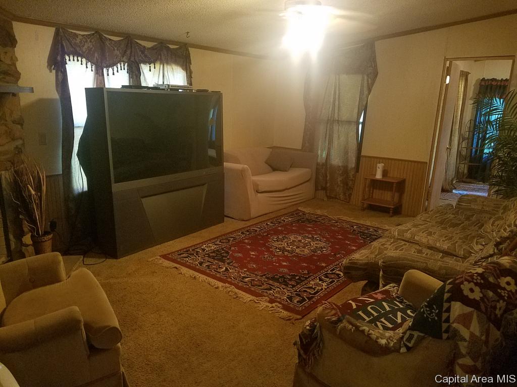 13014 Blooming Grove Road Palmyra, IL 62674 - Photo 7 of 26