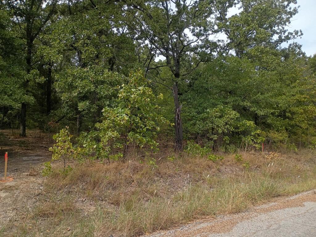 124 Rising Star Trail Mabank, TX 75156 - Photo 2 of 3 Gallery Image 2