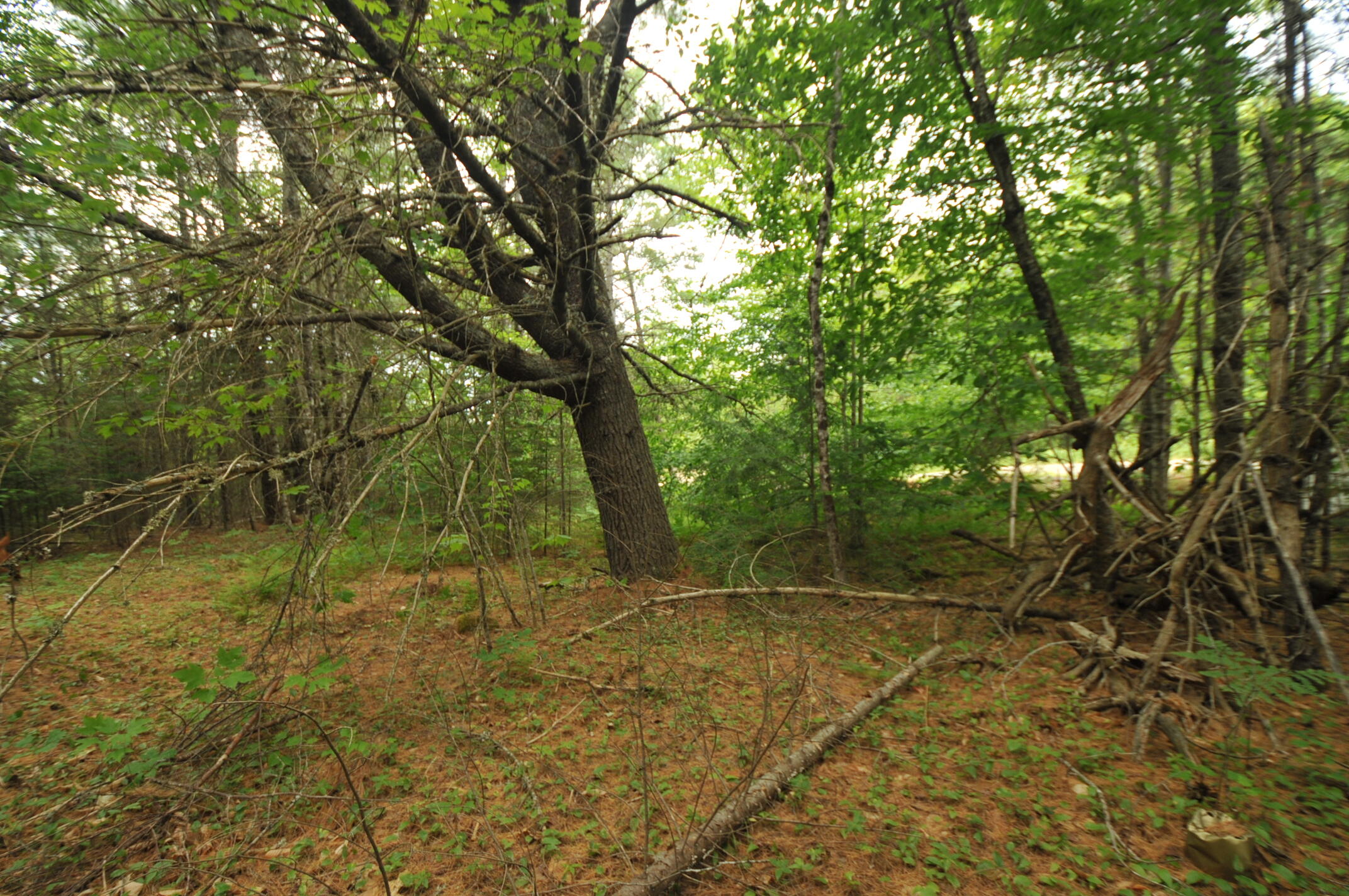 284 Ellsworth Road Aurora, ME 04408 - Photo 53 of 54 DSC_2703